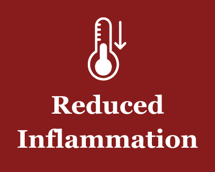 Reduced Inflammation - thermometer icon