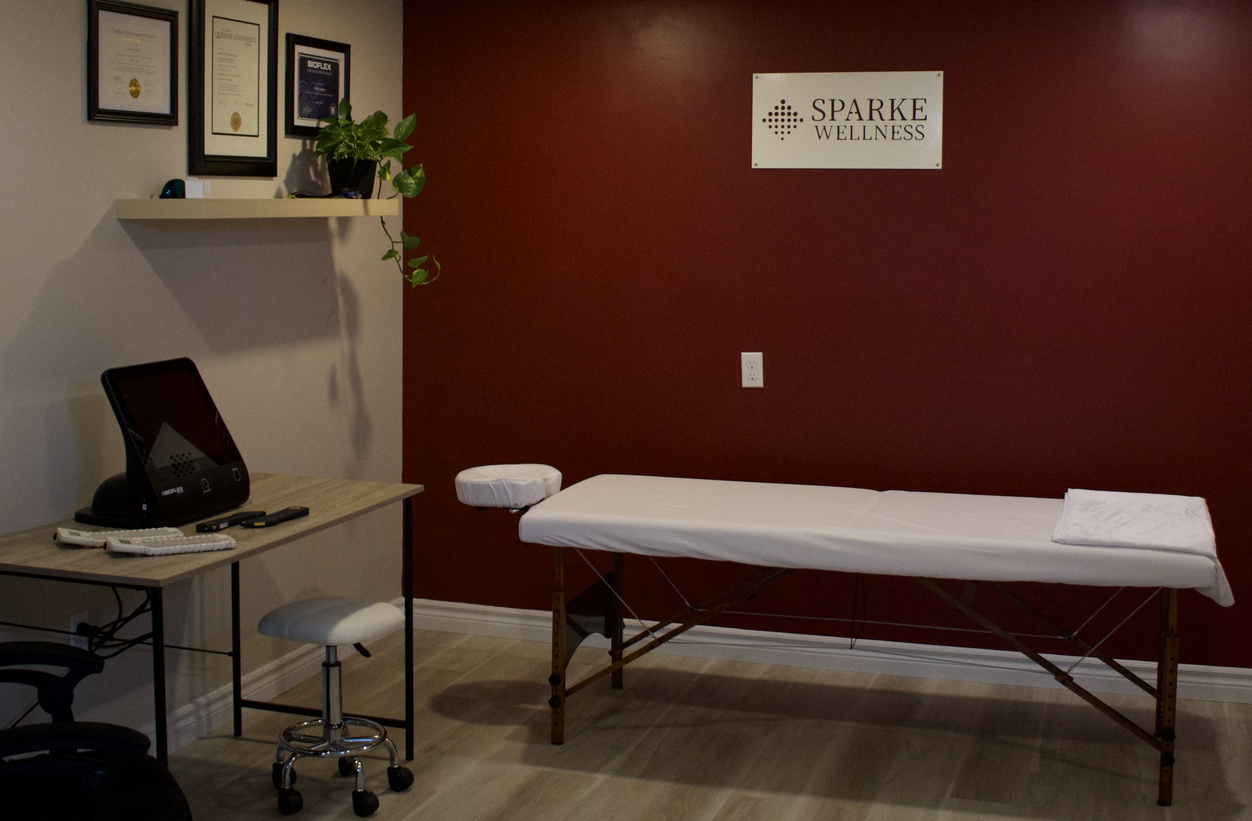BioFlex red light therapy treatment at Sparke Wellness in Demorestville Ontario